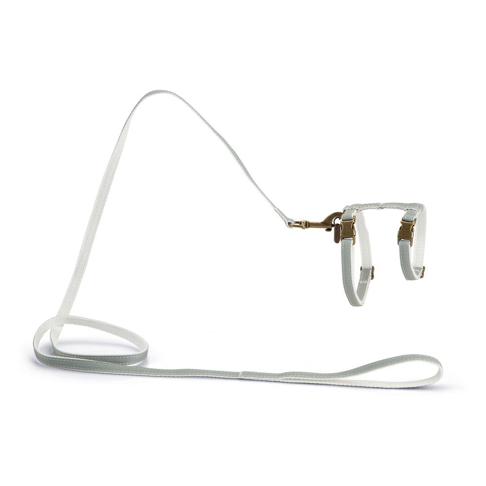 Designed by Lotte Virante Cat Set Mint