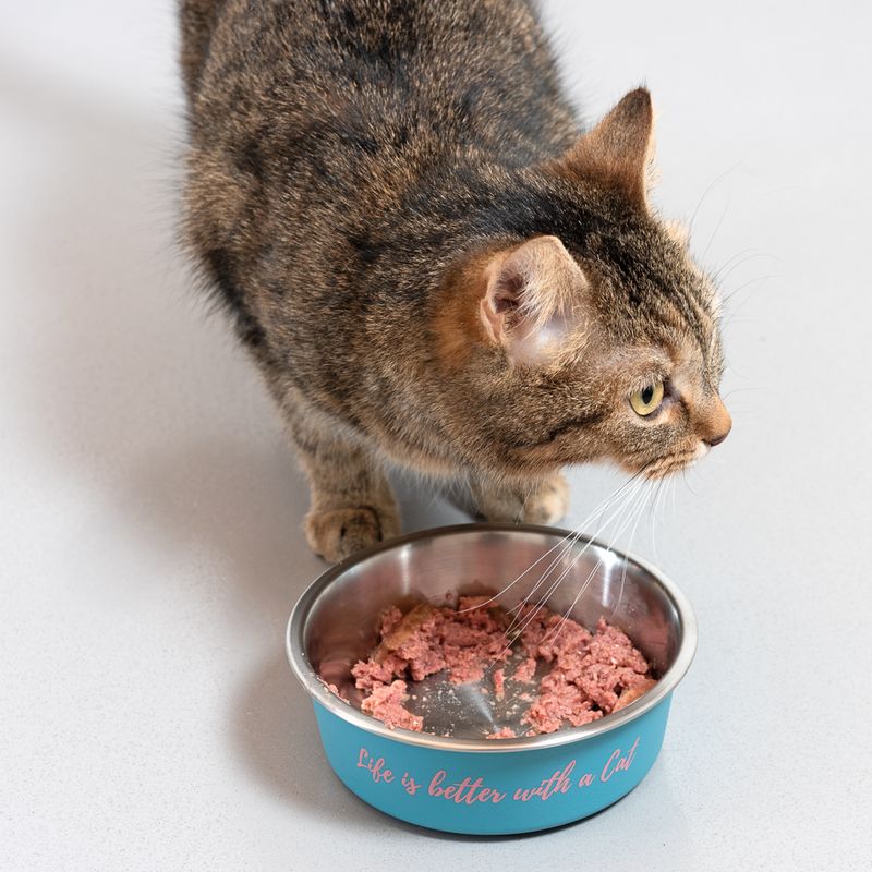 TIAKI stainless steel bowl \