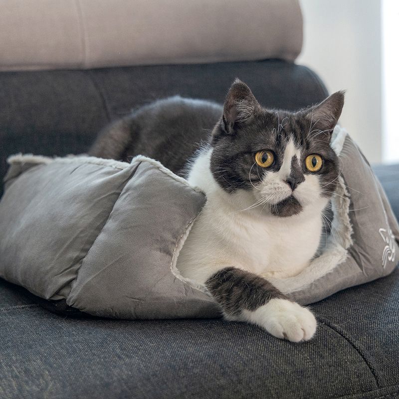 Beeztees Cat Bed Baboo 48 x 37 x 18cm (L x W x H)