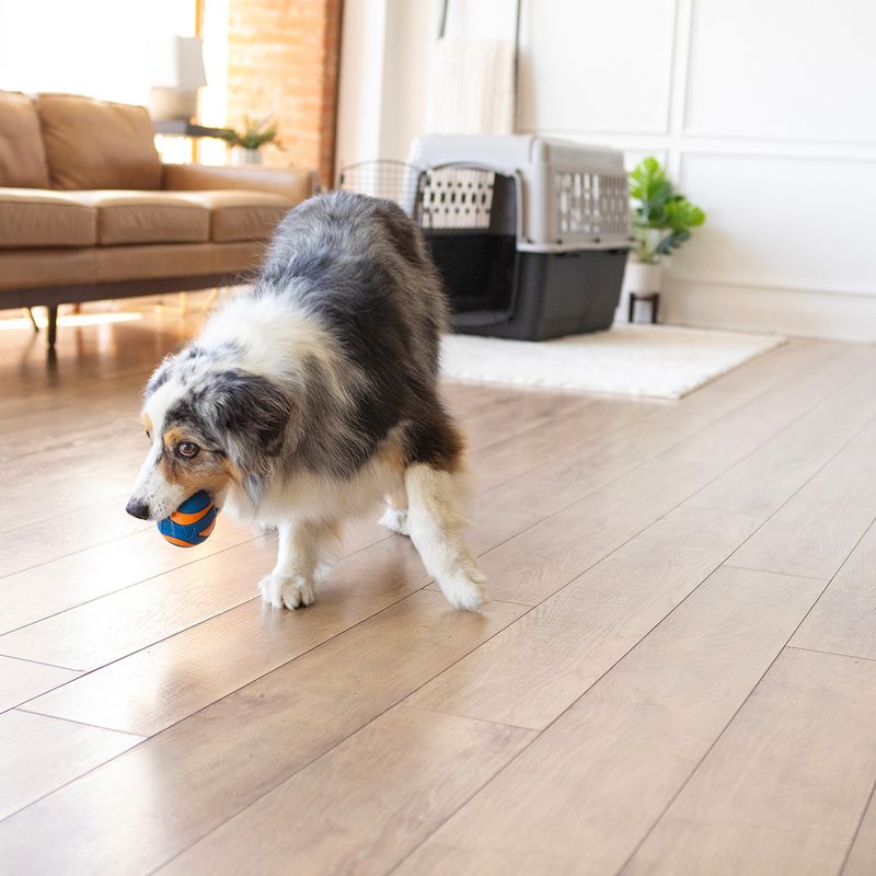 Chuckit! Ultra Ball Size S: 2 Balls, Diameter 5.1cm