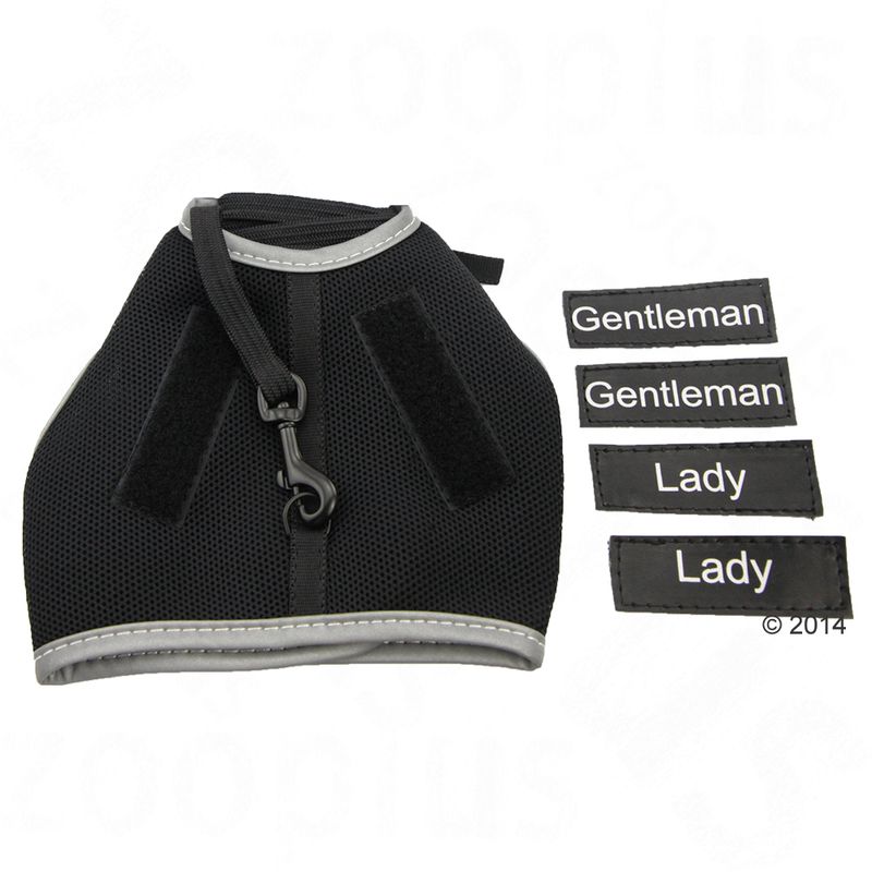 Trixie XCat Harness with Lead and Exclusive Stickers Black