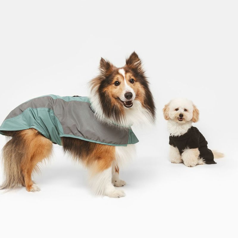 Nomad Tales Spirit Reflective Dog Raincoat - Mint approx. 35cm (Back Length)