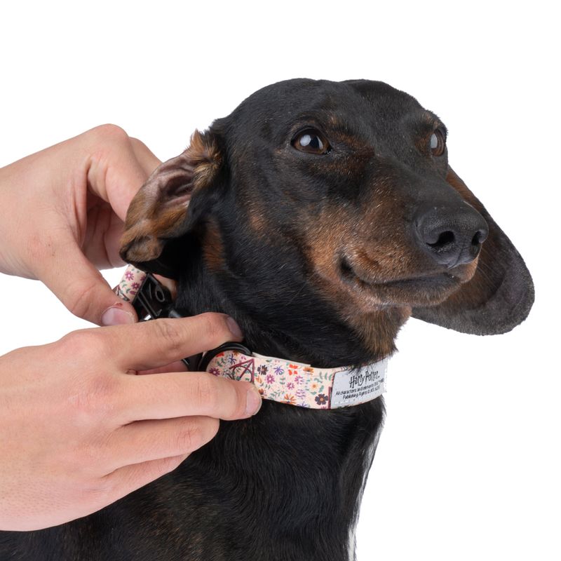 Harry Potter Deathly Hallows Collar - Beige Size S: Neck Circumference 25 - 36 cm, Width 20mm