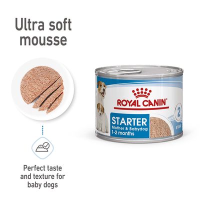Royal Canin Starter Mousse Mother & Babydog 12 x 195g