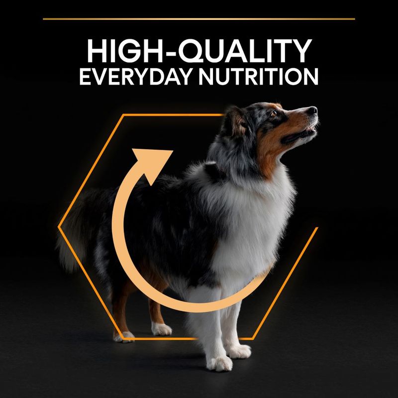 PURINA PRO PLAN Medium Adult Everyday Nutrition 7kg