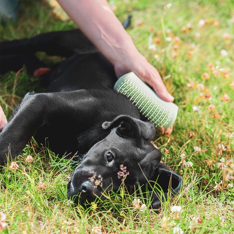 Pet Teezer Puppy Brush L 12 x W 5,5 x H 5 cm