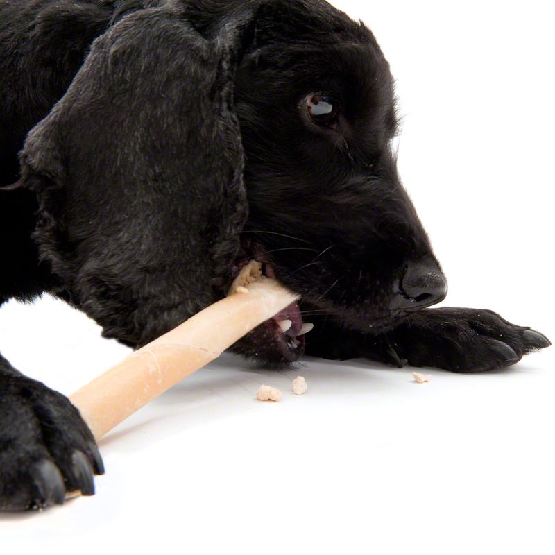 Trixie Filled Chew Rolls with Tripe 2 pieces