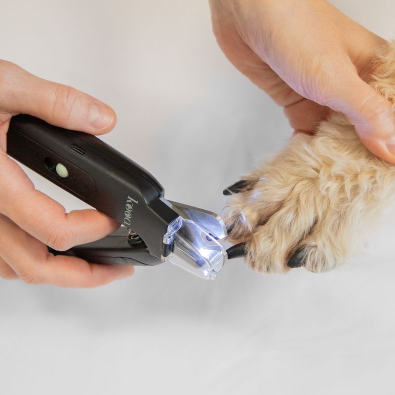 kooa 2-in-1 Claw Clippers & Grinder with LED approx. 20 x 9.9 x 4 cm (L x W x H)