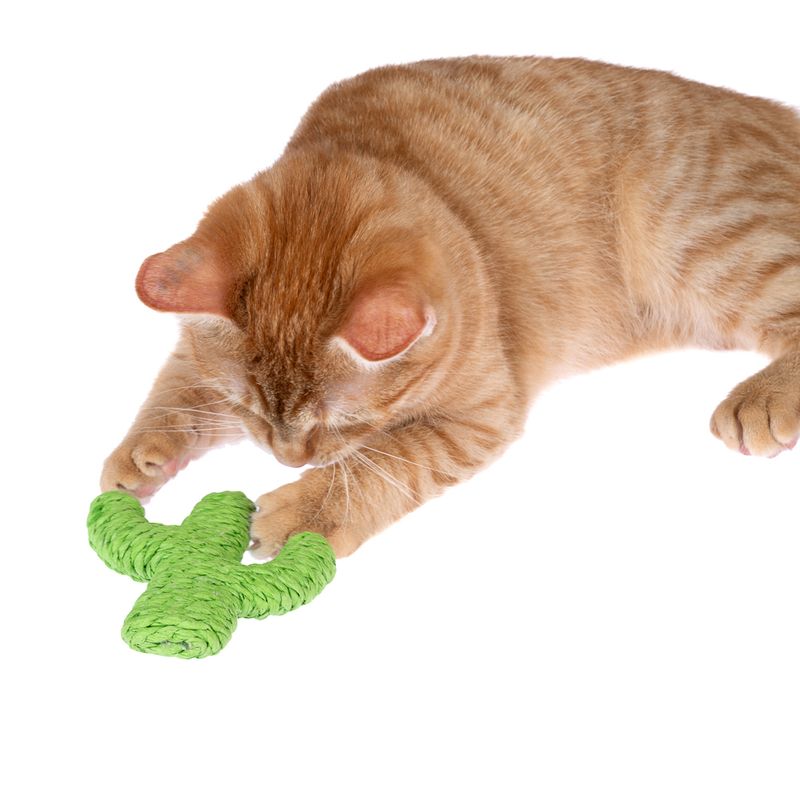 TIAKI Nature Paper Cactus 1 Toy