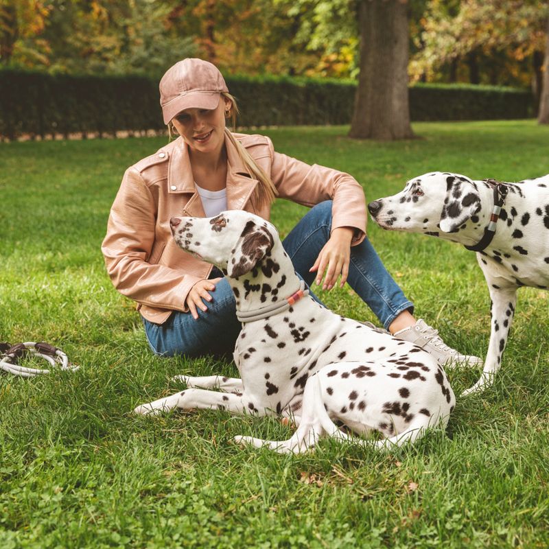 Nomad Tales Spirit Collar, stone Size S: 36 - 40 cm neck circumference, W 30 mm