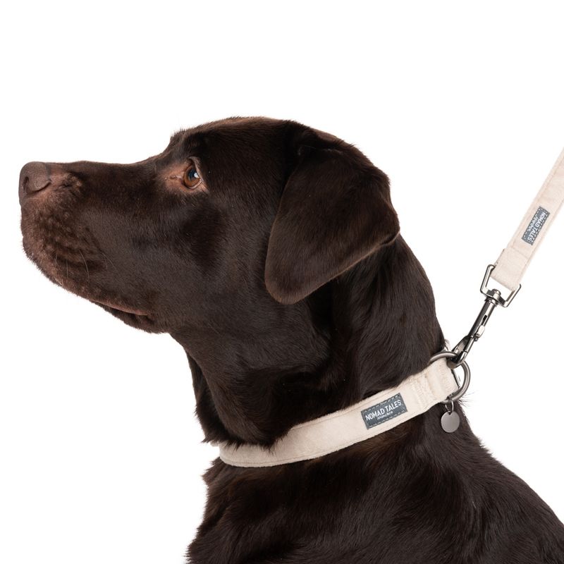 Nomad Tales Blush Necklace, taupe Size XS: 24 - 36 cm neck circumference, W 10 mm