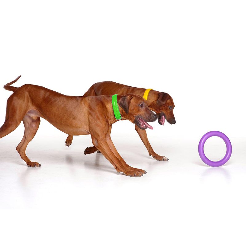 Ferplast Puller Dog Toy Midi: 19cm (Ø)