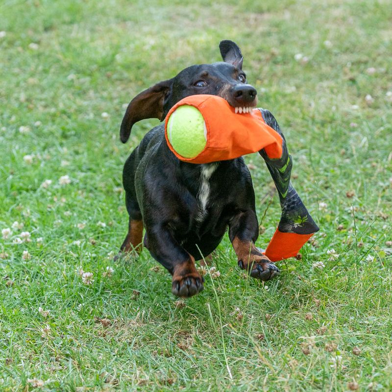 TIAKI Dog Toy Throwing Ball with Catching Tail approx. diameter 8 x (L) 85 cm