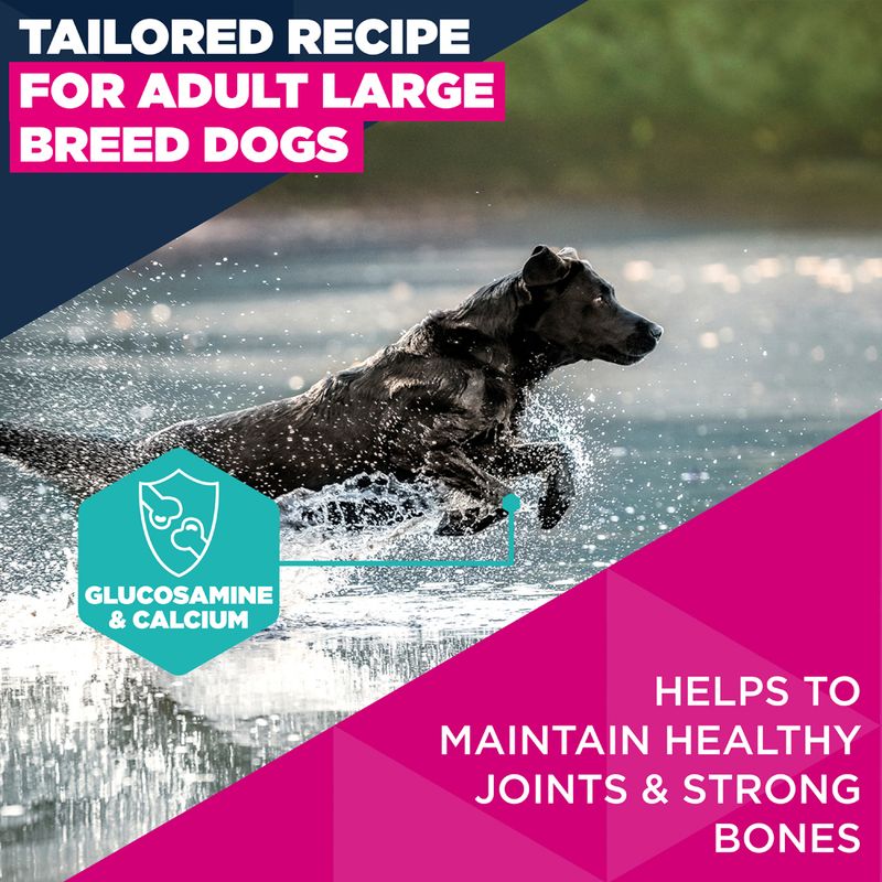 Eukanuba Premium Nutrition Adult Large & Giant Breed Chicken 15kg