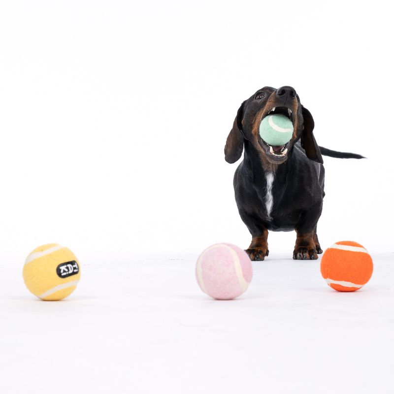 TIAKI Tennis Ball Set Set of 4 (approx. diameter 5cm)