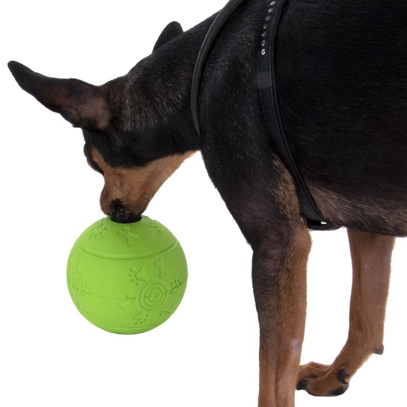 Snack Ball Dog Toy Diameter 10.5cm
