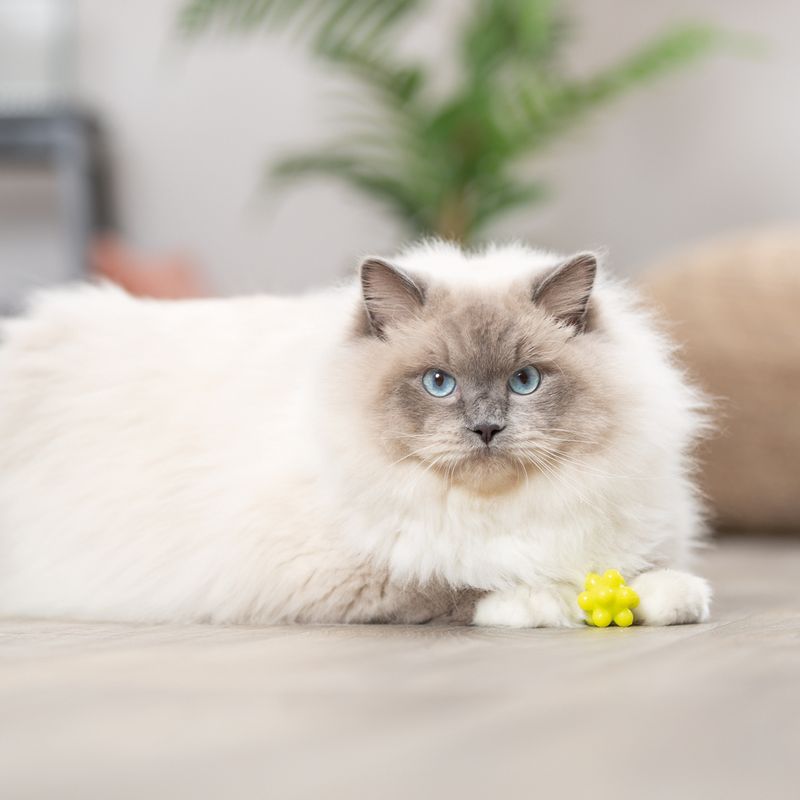 Trixie Nub Toy Balls 4 pieces