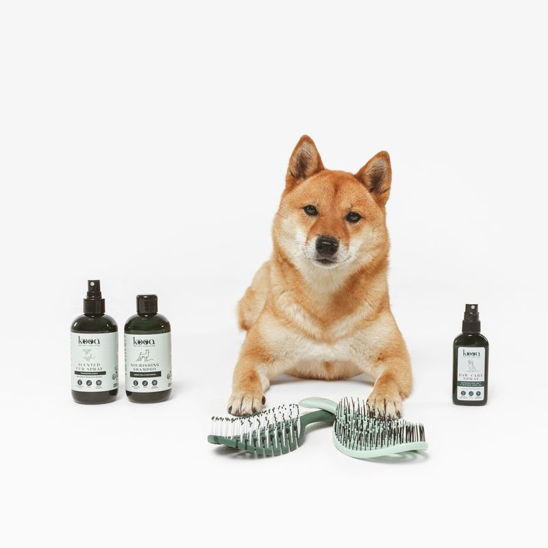 kooa Detangling Brush 24 x 8 x 4.5cm (L x W x H)