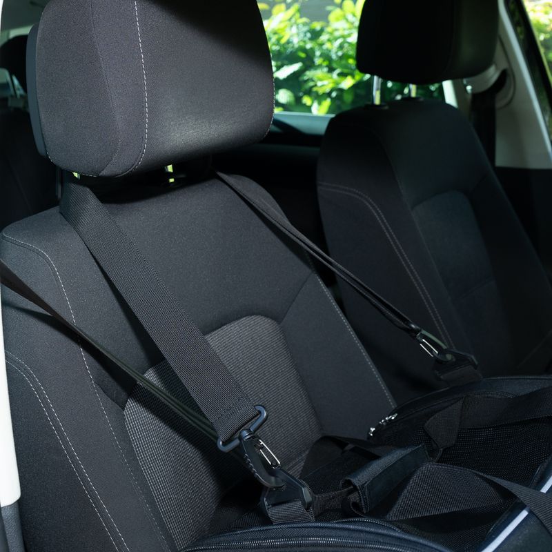 zooplus Basics Carry Bag Size S: 43.5 x 31 x 34 cm (L x W x H)