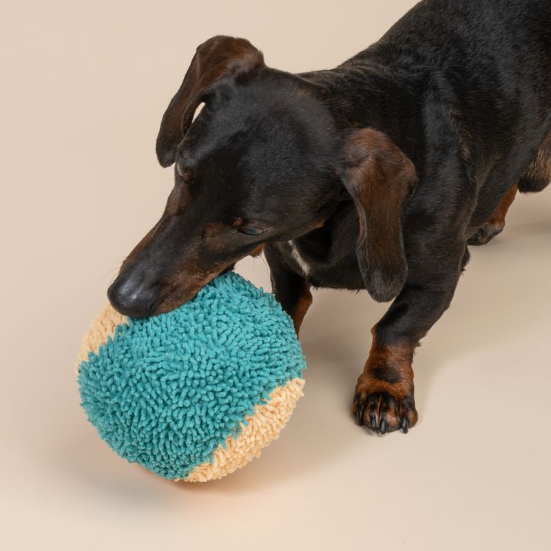 TIAKI Plush Ball Dog Toy diameter 13.2cm