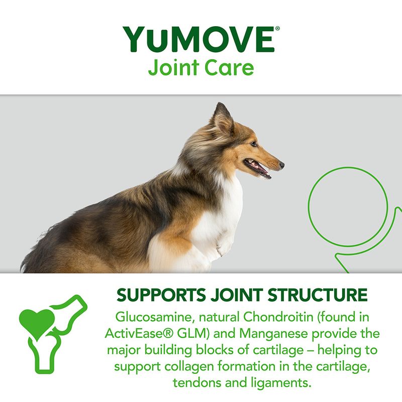 YuMOVE Joint Care for Adult Dogs 60 Tablets