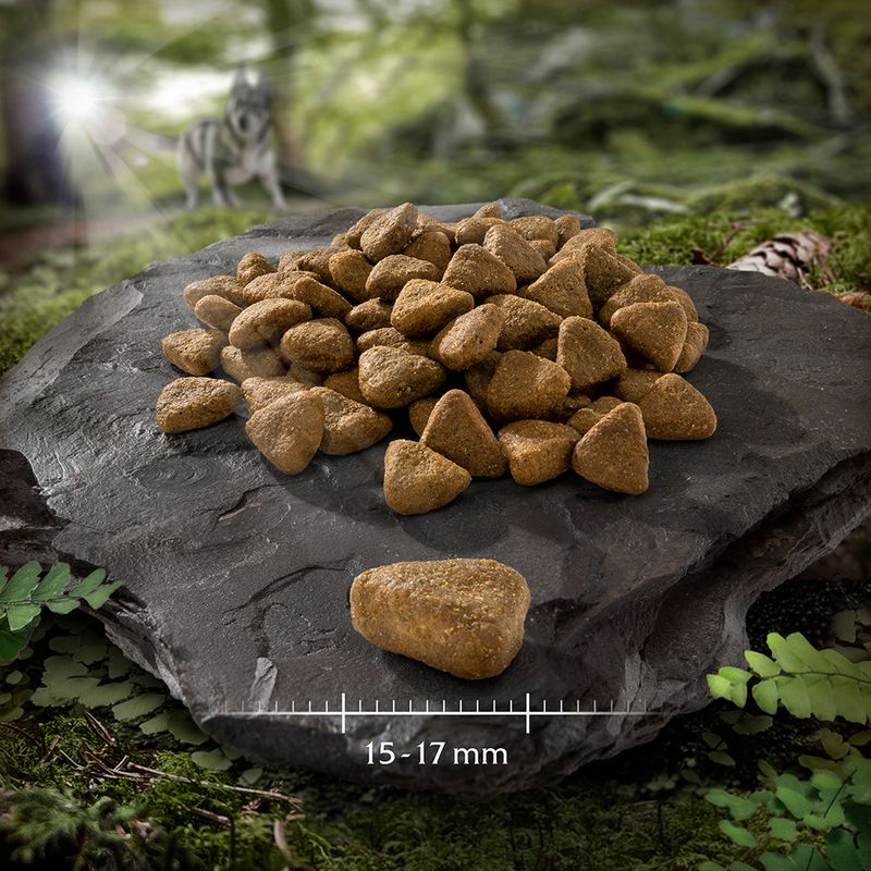 Wolf of Wilderness Sensitive Adult \