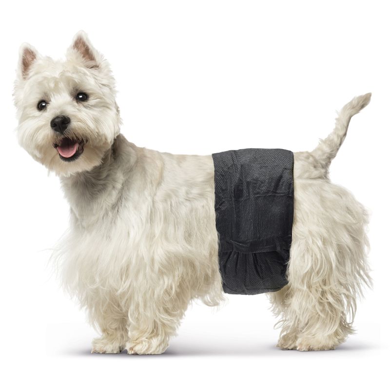 Savic Nappies for Male Dogs Size XS: 20-26cm - 12 nappies