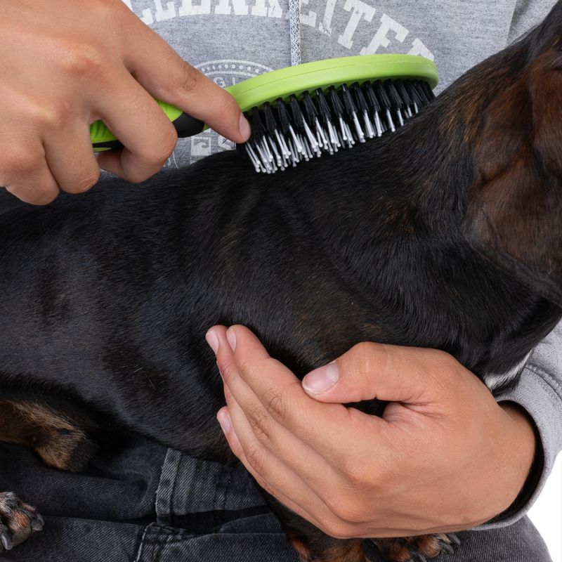TIAKI Universal Pet Brush 24 x 7 x 4cm (L x W x H)