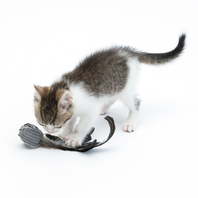 TIAKI Feather Ball Cat Toy 1 Toy