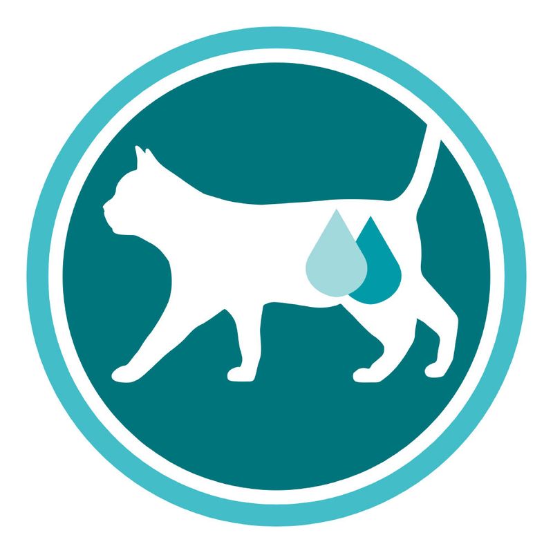 PURINA ONE Urinary Care Chicken 450 g