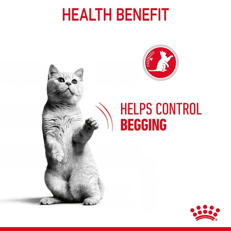 Royal Canin Appetite Control Care in Gravy 12 x 85g