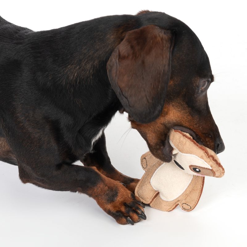 TIAKI Squeaky Sloth 17 x 10 x 4cm (L x W x H)