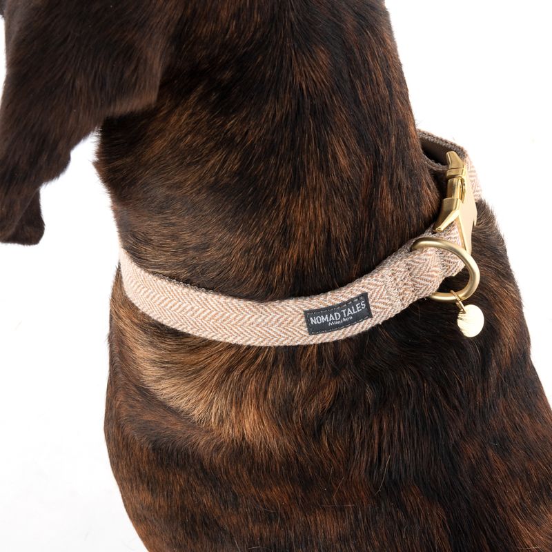 Nomad Tales Calma Collar, sand Size XS: 24 - 36 cm neck circumference, W 10 mm