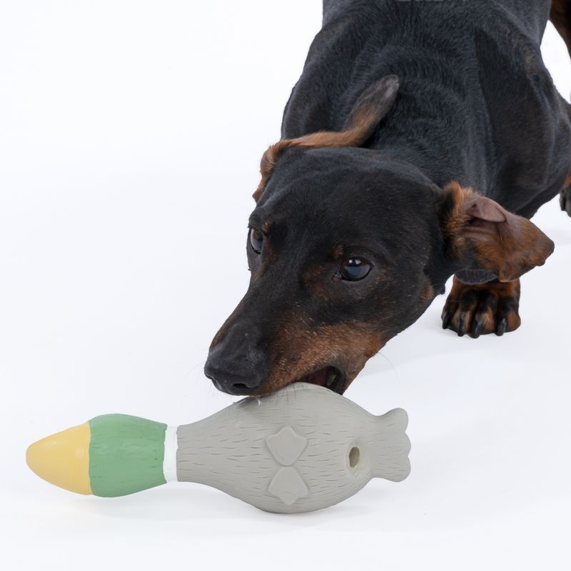 TIAKI Wild Duck Latex Dog Toy 19.5 x 7 x 5.5 cm (L x W x H)
