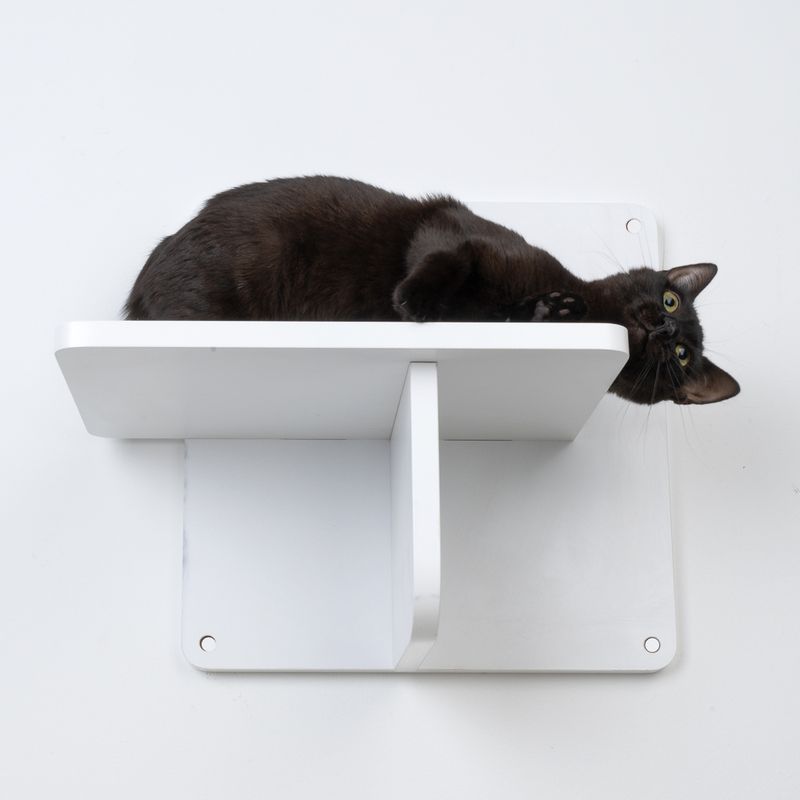 Modern Living Platform San Francisco Black