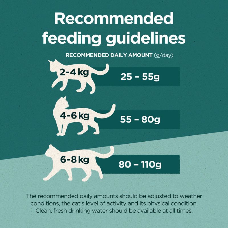 PURINA ONE Dual Nature Adult Chicken with Spirulina 650g