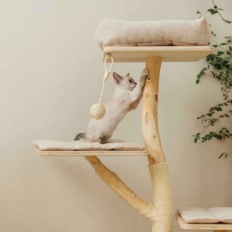 Modern Living Brixen Cat Tree Cream / natural