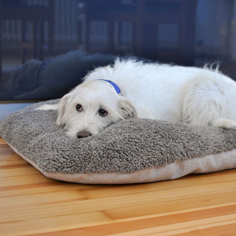 Pawz & Pepper Denver Ortho Dog Cushion M: 80 x 60 x 15 cm (L x W x H)