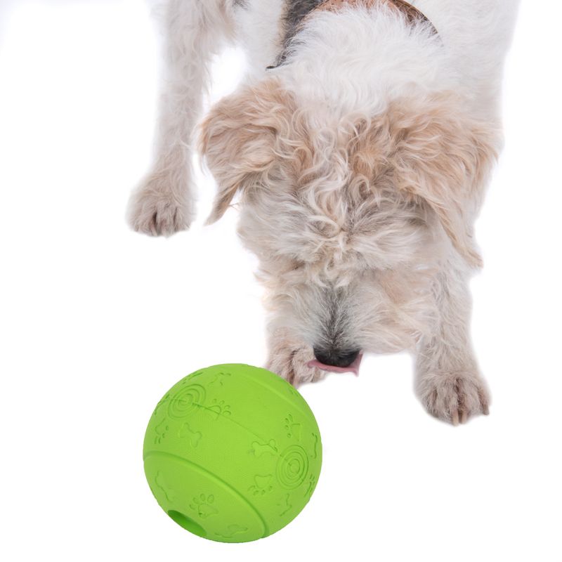 Snack Ball Dog Toy Diameter 10.5cm