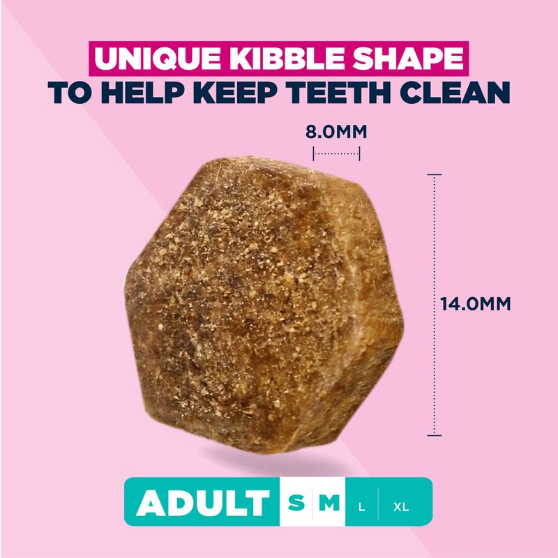 Eukanuba Premium Nutrition Adult Small & Medium Breed Lamb & Rice 3kg