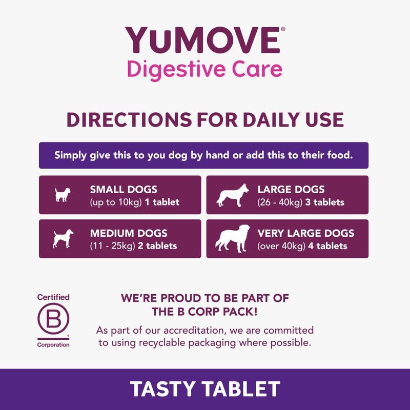 YuMOVE Digestive Care Pre- & Probiotic 120 Tablets
