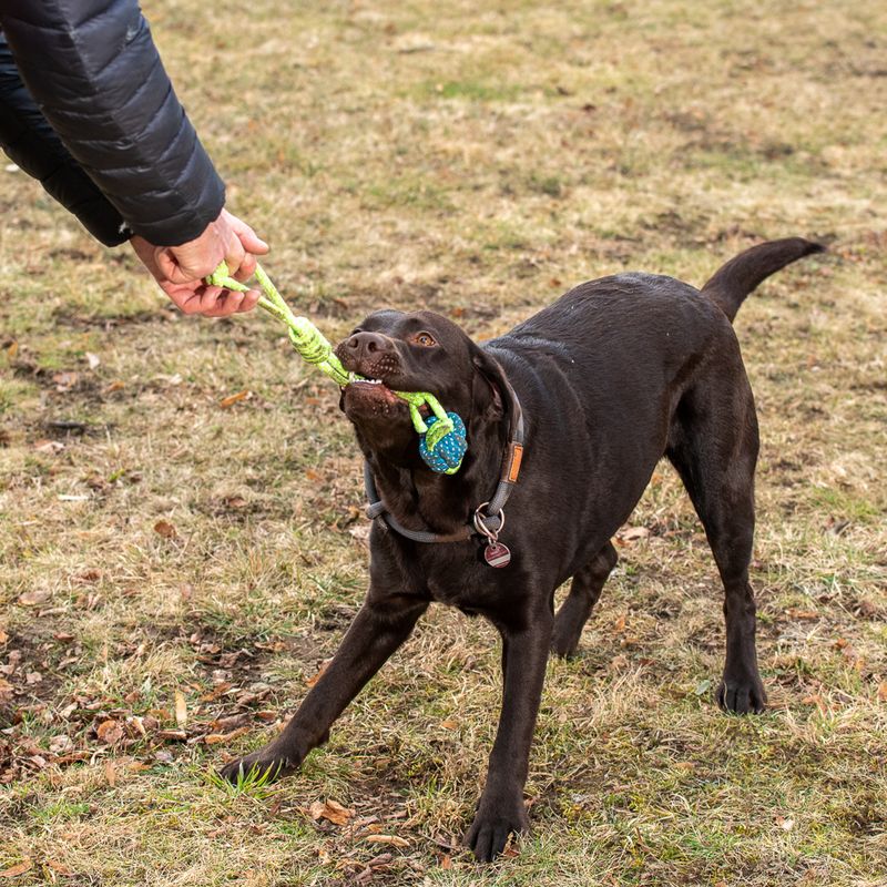 Dog toy Limoen rope & ball approx. diameter 6 x L 32 cm
