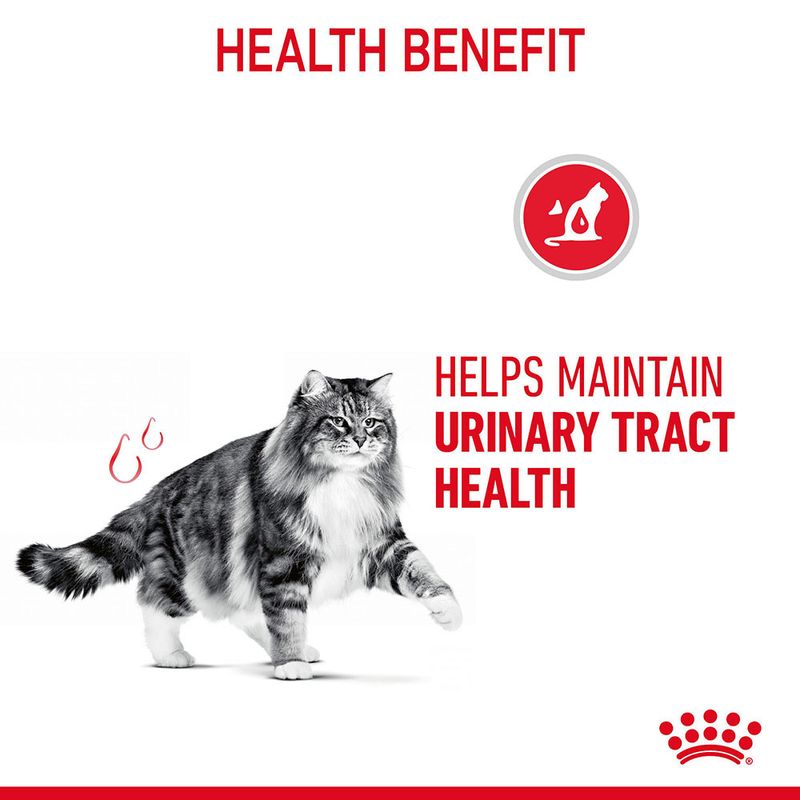Royal Canin Urinary Care in Gravy 12 x 85g