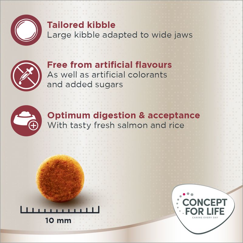 Concept for Life Maine Coon Adult Salmon - Grain-Free 400g