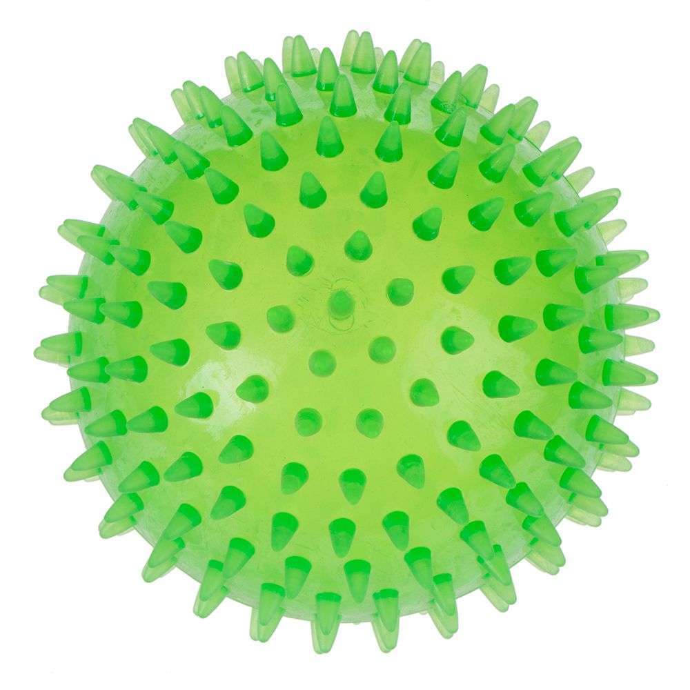 Large Spiky Ball Dog Toy Diameter 12cm