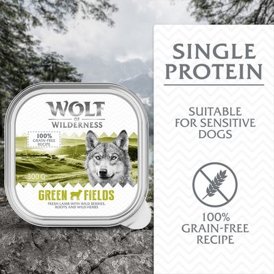 Wolf of Wilderness Adult Classic 6 x 300g High Valley - Beef