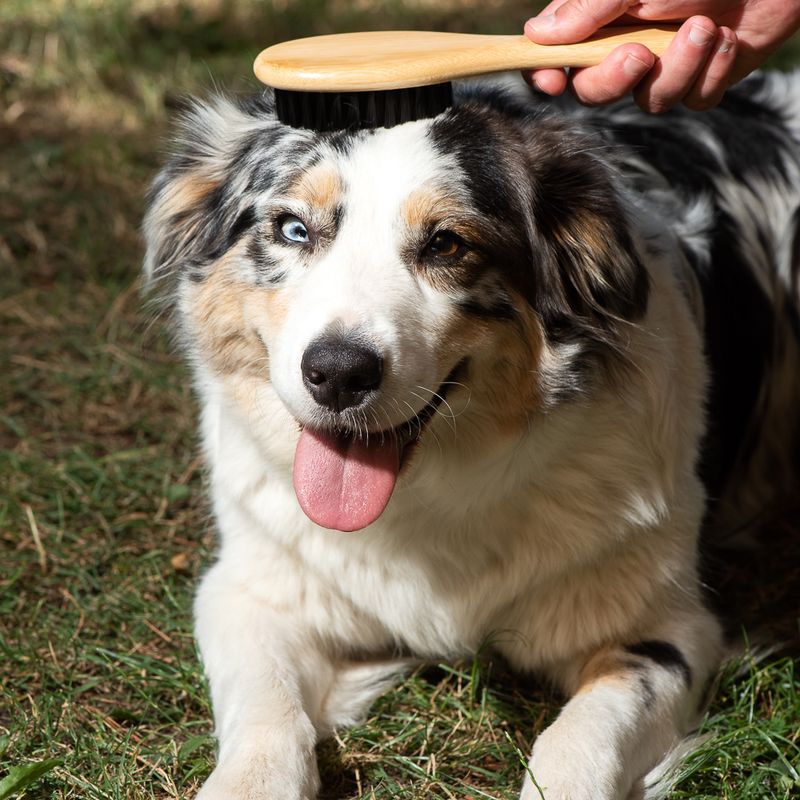 kooa Bamboo Grooming Brush L 22 x W 6cm