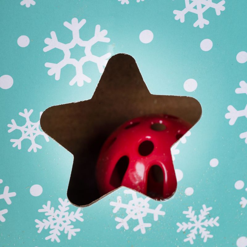 TIAKI Xmas Scratching Board 1 Scratching Board