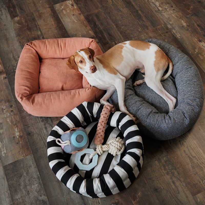 Modern Living Gaffney Cuddly Bed 60 x 60 x 22 cm (L x W x H)