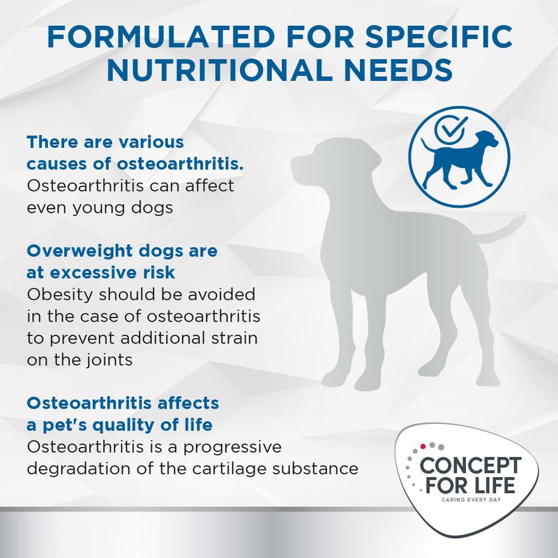 Concept for Life Veterinary Diet Dog Mobility 1kg